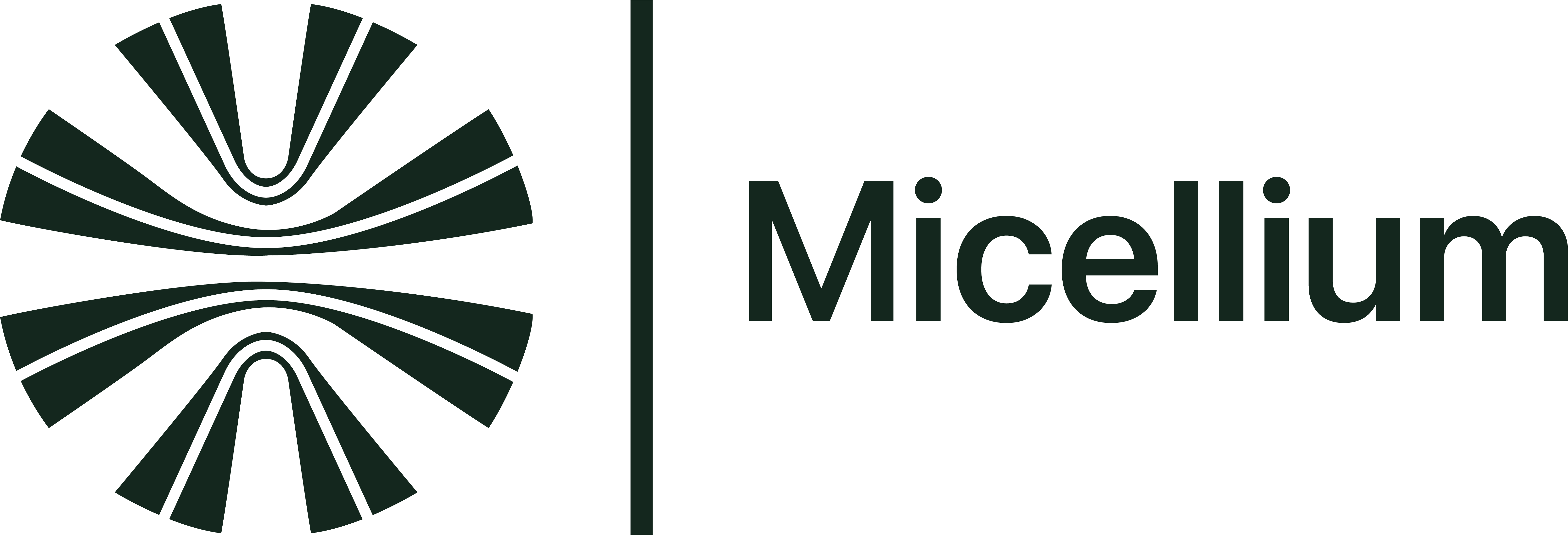 logo micellium vert